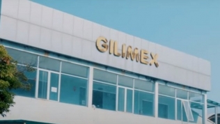 Gilimex rót 126 tỷ đồng vào 2 công ty môi giới, đấu giá bất động sản