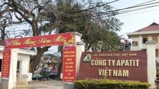 Khởi tố, bắt tạm giam hai cựu lãnh đạo Công ty Apatit Việt Nam
