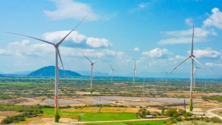 Tham vọng năng lượng tái tạo của Tập đoàn Xây dựng Thăng Long