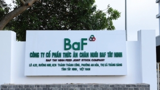 BAF mua lại công ty chăn nuôi vốn hơn 40 tỷ đồng ở Tây Ninh