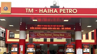 Hải Hà Petro bị rút giấy phép, loạt công ty con lộ khối nợ trăm tỷ