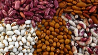 Bộ Nông nghiệp tạm ngừng nhập khẩu một loạt thực phẩm từ Indonesia