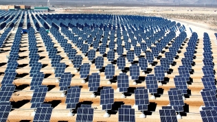 Đấu thầu điện mặt trời: WB đề xuất 2 mô hình, các tỉnh đồng loạt kêu khó