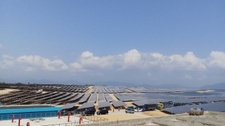 Bamboo Capital khánh thành nhà máy năng lượng mặt trời Phù Mỹ