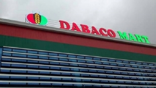 Dabaco: Lãi trước thuế quý II đạt 370 tỷ, tăng gấp 12 lần so với cùng kỳ
