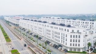 Soi năng lực của OSI Holdings - chủ bộ đôi dự án Avenue Garden, Oriental Square