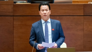 Bộ trưởng Đặng Quốc Khánh: 'Trữ lượng đất hiếm Việt Nam gần 30 triệu tấn'