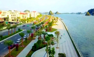 Quảng Ninh: Rà soát loạt dự án cây xanh theo yêu cầu của Bộ Công an