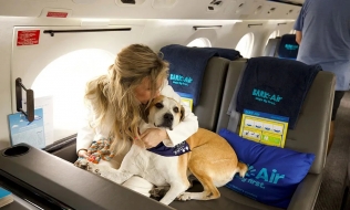 Xuất hiện hãng hàng không cho chó: Từ 6.000 USD/cặp vé, có cả ‘khoang hạng nhất’
