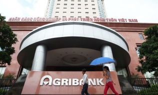 Từ 21/12, xét xử đại án tham nhũng tại Agribank Nam Hà Nội