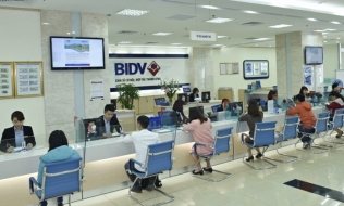 Giá cổ phiếu giảm là tích cực đối với tiến trình tăng vốn của BIDV?