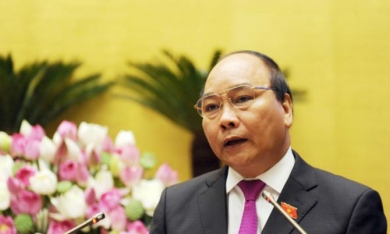 Phó Thủ tướng Nguyễn Xuân Phúc chỉ đạo điều tra vụ 'vàng giả như thật'