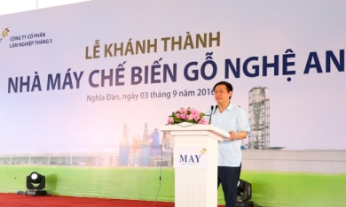 Phó thủ tướng Vương Đình Huệ dự khánh thành Nhà máy chế biến gỗ Nghệ An