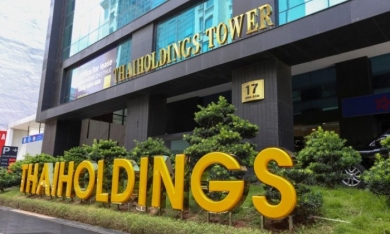 Thaiholdings muốn bán 35% cổ phần tại Thaihomes, dự thu gần 100 tỷ