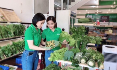 Người Việt đang thay đổi thói quen mua sắm thế nào?