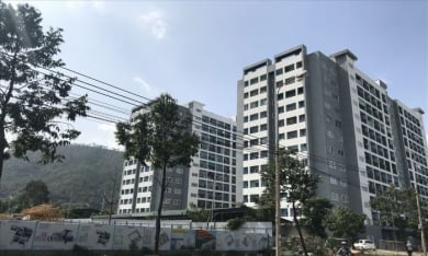 Đà Nẵng cảnh báo tình trạng rầm rộ rao bán căn hộ tại dự án chưa được cấp phép kinh doanh