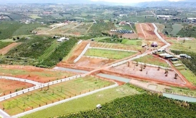 Lâm Đồng ngăn chặn tình trạng hiến đất làm đường để phân lô tách thửa đất