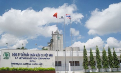 'Ông trùm' nông nghiệp C.P Việt Nam muốn niêm yết trên HoSE