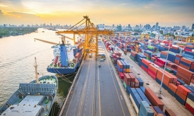 TP. HCM: Mỗi ngày thu 7 tỷ phí cảng biển, dồn vốn làm giao thông