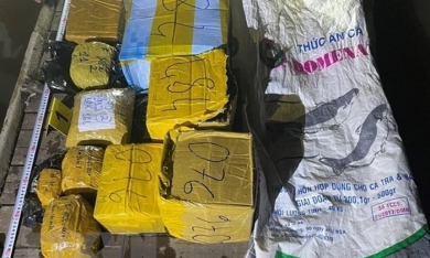 Bắt giữ 19kg kim loại nghi vàng vận chuyển lậu từ Campuchia về Việt Nam