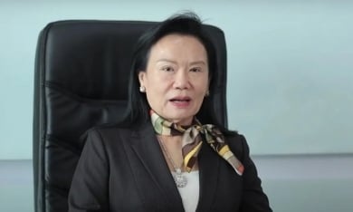 Nữ đại gia sáng lập Tập đoàn Hoa Lâm rời ghế lãnh đạo VietBank