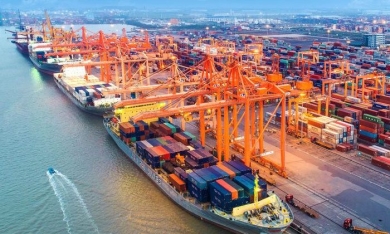 Giá dịch vụ cảng biển 'phú quý giật lùi', chủ tàu nước ngoài hưởng lợi cả tỷ USD mỗi năm