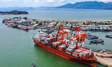 Cảng Quy Nhơn: Nghi án lập khống chứng từ tham ô tài sản