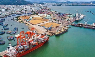 HoSE dừng xem xét hồ sơ niêm yết cổ phiếu QNP của Cảng Quy Nhơn