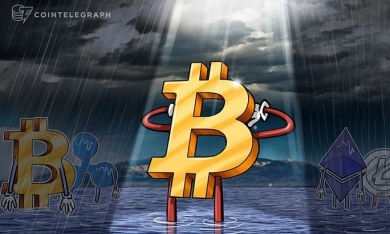 Giá bitcoin hôm nay (20/7): Một quỹ đầu tư Bitcoin rót trung bình 10 triệu USD mỗi tuần vào tiền số