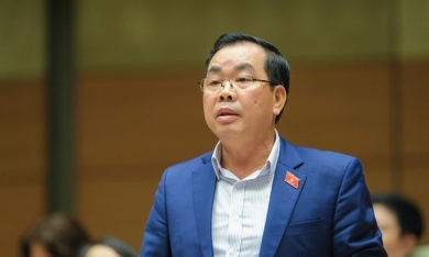 ĐBQH Nguyễn Quang Huân: Cần giữ nhịp tăng trưởng bền vững