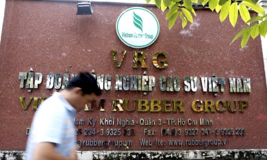 Tập đoàn Công nghiệp cao su Việt Nam (VGR) thoát lỗ, chuyển từ UPCoM lên HOSE
