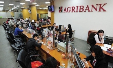 Agribank phát hành 5.000 tỷ đồng trái phiếu, lãi suất dự kiến trên 8%