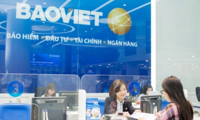 Bảo Việt ra mắt Báo cáo phát triển bền vững 2019