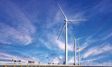 Hapaco dự kiến đầu tư dự án điện gió 4.000 tỷ đồng