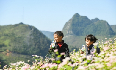 Quỹ sữa vươn cao Việt Nam tiếp tục hành trình trao sữa cho trẻ em tại 26 tỉnh thành năm thứ 14