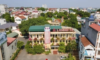 Chị gái 'thầy A7' Nguyễn Mạnh Tuấn kịp bán ra cổ phiếu L14 trước phiên đảo chiều ngày 6/12