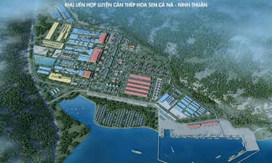Ninh Thuận muốn 'bảo lưu' kế hoạch làm dự án thép 10 tỷ USD