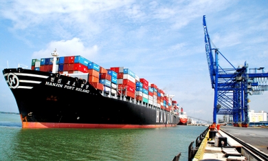 Báo cáo xuất nhập khẩu Việt Nam 2016
