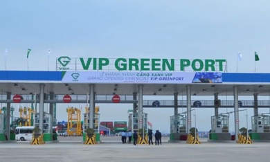 Hơn 63,2 triệu cổ phiếu VGR của CTCP Cảng Xanh VIP lên sàn UPCoM