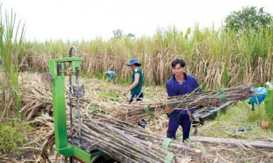 Kỷ yếu hội thảo 'giải pháp cho ngành mía đường Việt Nam trong tình hình mới'