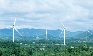 Doanh nhân Trung Quốc muốn lập quy hoạch nhà máy điện gió tại Thanh Hóa