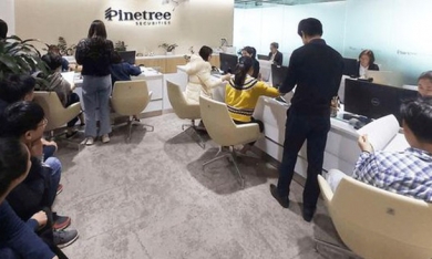 Chứng khoán Pinetree tăng vốn thêm 200 tỷ đồng