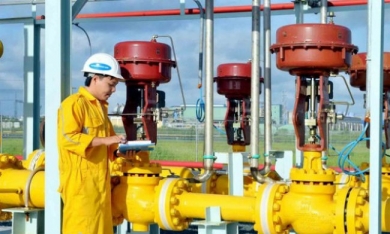 Báo Nhật: Tập đoàn JX Nippon mua 10% cổ phần Petrolimex
