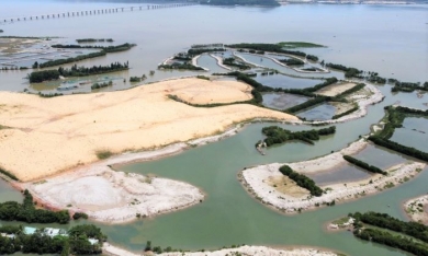 Cận cảnh khu du lịch 5.000 tỷ bỏ hoang bị Bình Định cưỡng chế 411 tỷ tiền thuê đất
