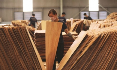Bình Định có thêm nhà máy chế biến gỗ xuất khẩu 8.500 tấn/năm