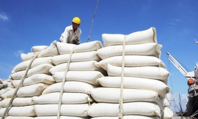Dự án 600 tỷ đầu tư vào Phú Yên lập vùng sản xuất, chế biến và xuất khẩu gạo
