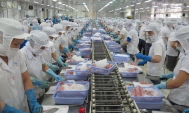 PFP Group qua Việt Nam mở công ty liên doanh về chế biến hải sản