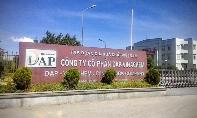Kỷ lục buồn của DAP – VINACHEM: Lợi nhuận giảm 99,66%
