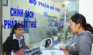 Quảng Ninh: Công ty Thống Nhất 508 nợ thuế hơn 288 tỷ đồng