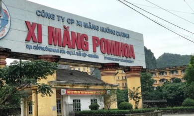 Thanh tra Chính phủ: '3 doanh nghiệp xi măng ở Ninh Bình thiếu 32,5 tỷ đồng tiền thuế tài nguyên'